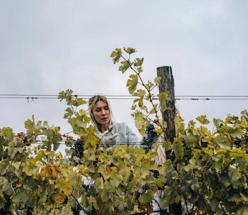 После дождичка в четверг: что нужно успеть сделать на даче до начала сезона