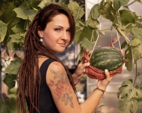 Садовод Казакова рассказала, как вырастить вкусные арбузы в Подмосковье